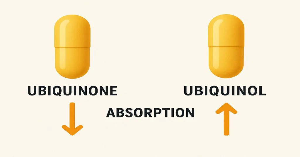 Comparison of ubiquinone and ubiquinol supplement absorption